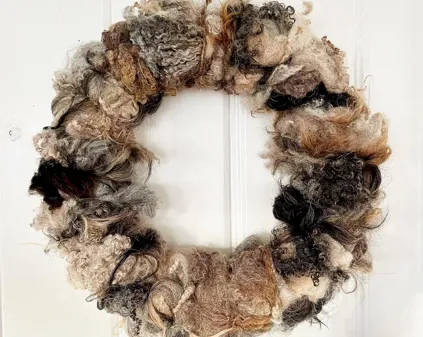 Image illustrating Bönabo FB1