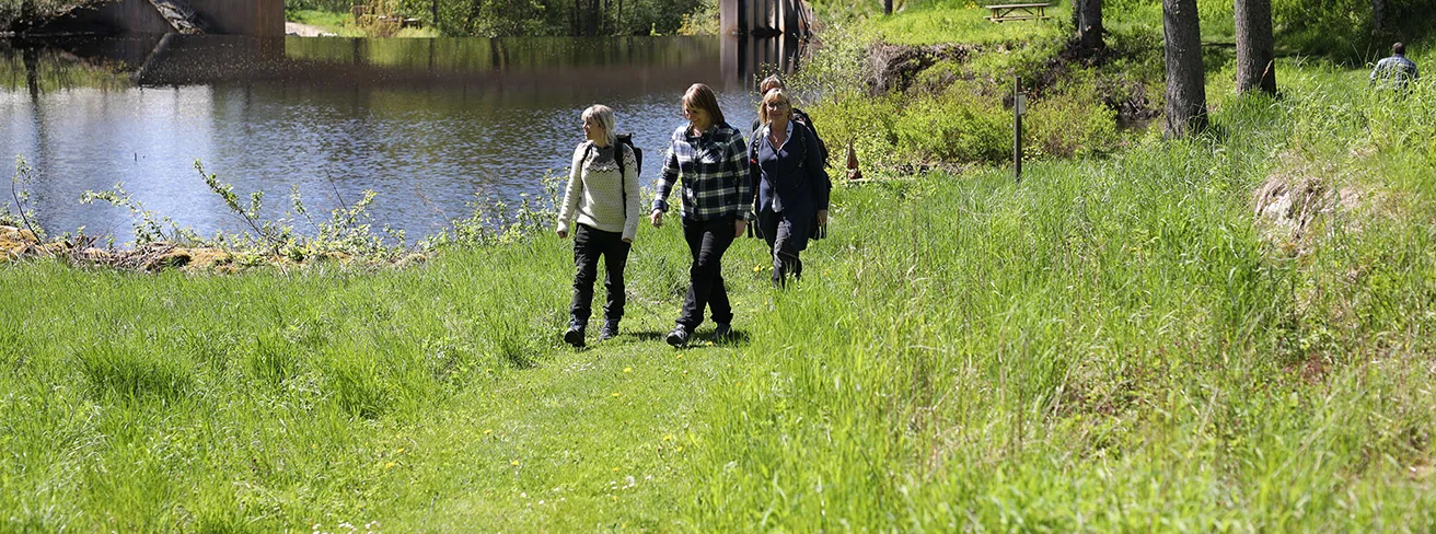 Image illustrating Vandring CJ 038