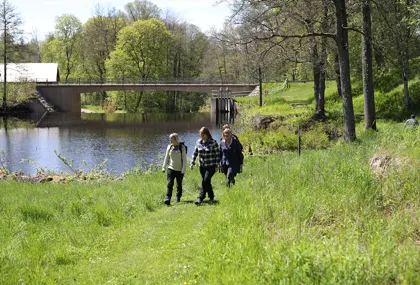 Guided hiking tours