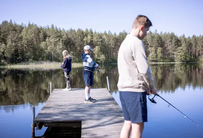 Höst- bästa tiden för gäddfiske
