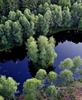 Image illustrating Bönabo Stuga