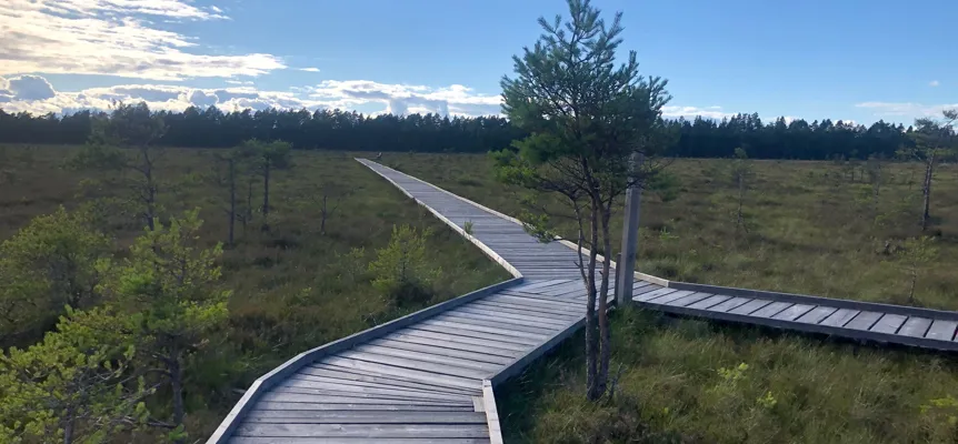 Image illustrating Vid Svartgölen 1