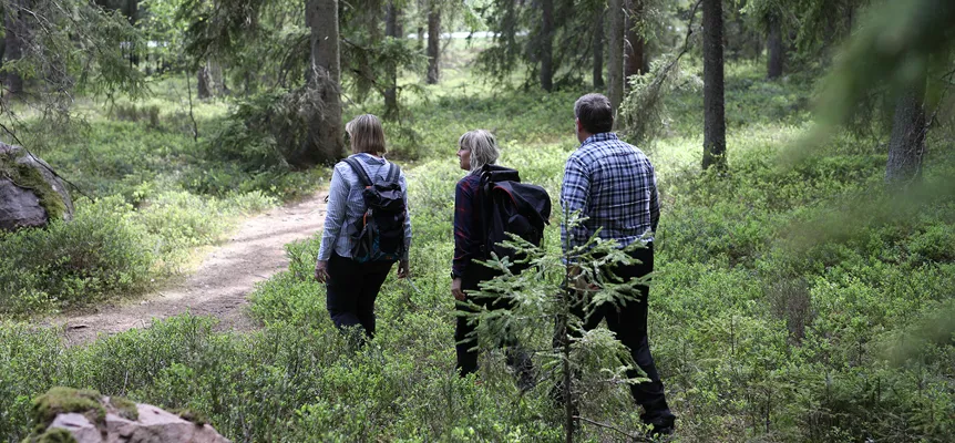 Vandra i Isabergsregionen
